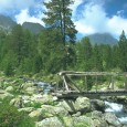 All’interno del Parco Naturale Del Monte Avic In una valle poco frequentata Data :13 Luglio 1997 Quota Partenza:1400 m. Quota Arrivo :2200 m. Dislivello :800 m. Lunghezza :20 Km. Durata […]